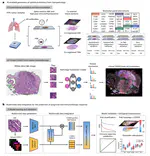 AI-enabled virtual spatial proteomics from histopathology for interpretable biomarker discovery in lung cancer