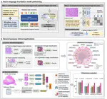 A Vision–language Foundation Model for Precision Oncology