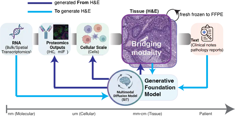 A Generative Foundation Model for Multimodal Histopathology