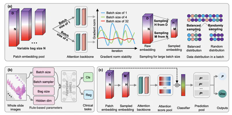 nnMIL: A Generalizable Multiple Instance Learning Framework for Computational Pathology